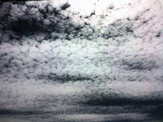 2009/09/09  11:56　ももこン家南上空