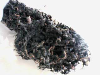 乾燥した赤紫蘇