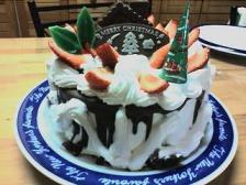共立食品★手作り☆クリスマスケーキ