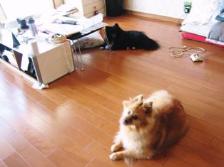 momo&toto　まだですかぁ～