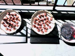 くっつかないように…ザルに梅干しを並べます～