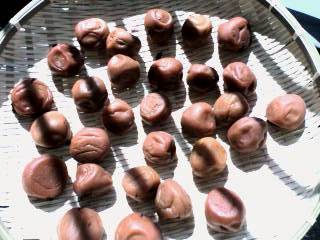 こんな感じですかね・・・太陽燦々です♪