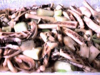 いかのネギ塩炒め