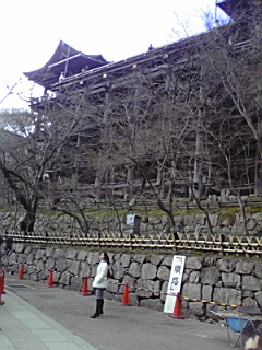 下から見上げる