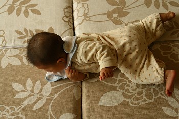 s_IMG_6364.jpg