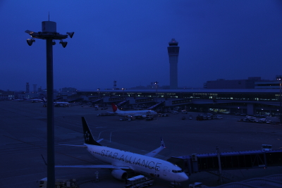 IMG_3556_1.JPG