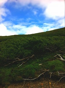 s_IMG_2728.jpg
