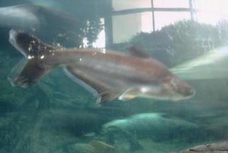 北京水族館