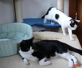ベッドが増えまして。.JPG