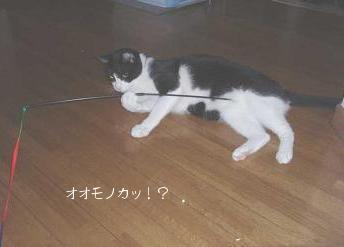 釣り師。