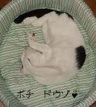 熟睡実保ちゃん.JPG