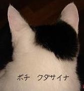 おむすび後頭部.JPG