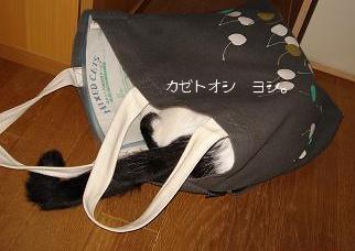 バッグの中でモンモモン。