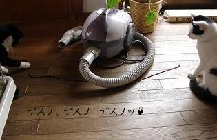 母もやってみます。