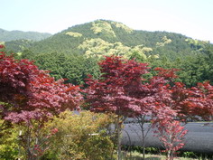 IMGP1910_サイズ変更.JPG