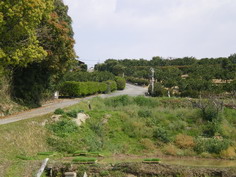 IMGP1487_サイズ変更.JPG