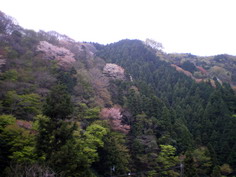 IMGP1530_サイズ変更.jpg