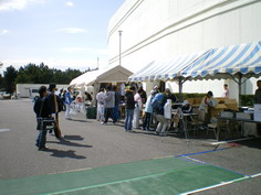 IMGP1534_サイズ変更.JPG