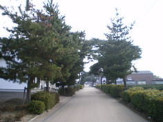 IMGP1339_サイズ変更.JPG