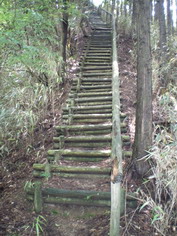 IMGP2232_サイズ変更.JPG
