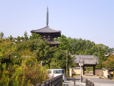 IMGP2348_サイズ変更.JPG