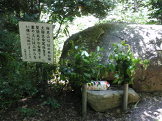 IMGP1906_サイズ変更.JPG