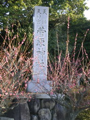 IMGP1520_サイズ変更.JPG
