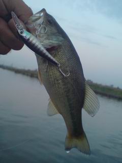 20111008171052.jpg