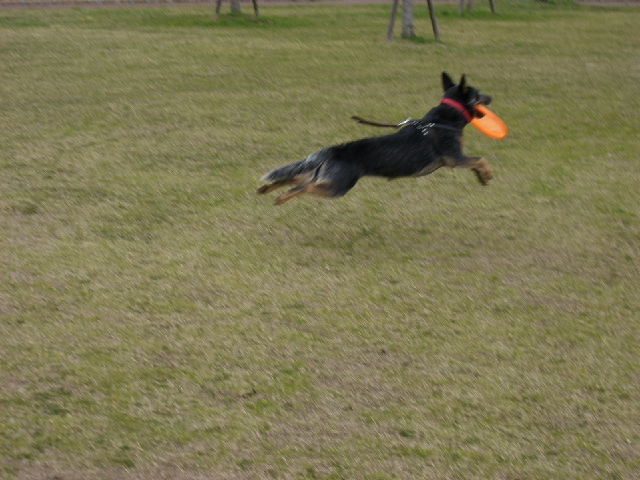 conv0004.JPG