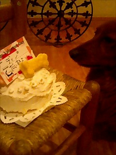 cake&dy4_1913~0001.jpg