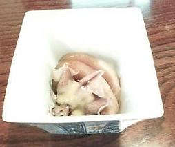 大将 めじまぐろの漬け と ほたるいかの酢味噌和え.JPG