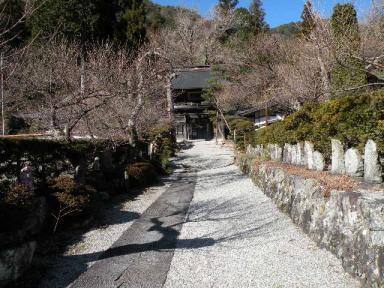 木曾、徳音寺