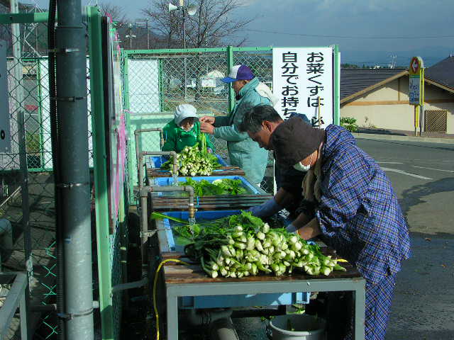 温泉スタンド、お菜洗い