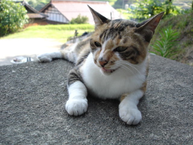 DSC02625.JPG