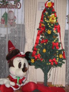 IMG_3461a.JPG