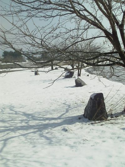 晴れ雪景色