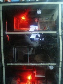 簡易型温室　改良版01