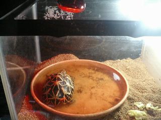 手抜き温浴設備