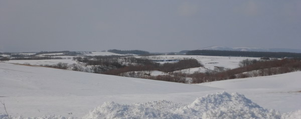 nizibetu (7)genya1.jpg