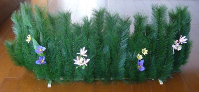 草.jpg