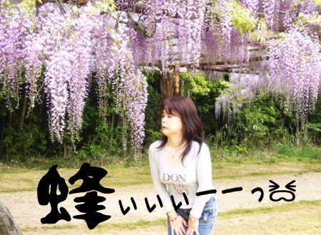 5-8-蜂.jpg