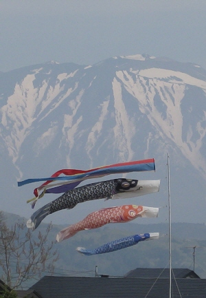 koinobori.jpg