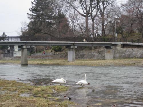 毘沙門橋.jpg