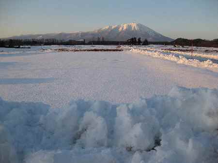 小岩井岩手山.jpg