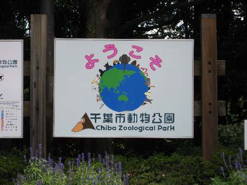 千葉市動物公園.jpg