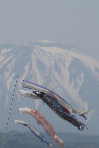 koinobori2.jpg