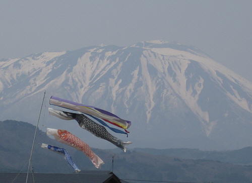 koinobori.jpg