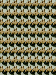 SA351074001.jpg