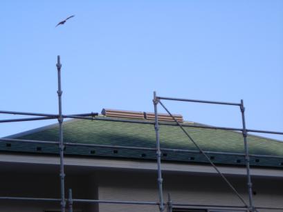 ハットヘルス君