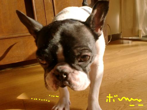 b陽だまり 001.jpg